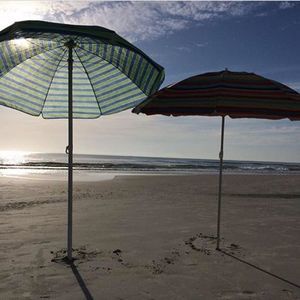 Meet your Posher, Cecilia